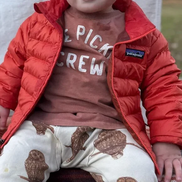 Patagonia down sweater jacket 12-18m EUC - Picture 3 of 12